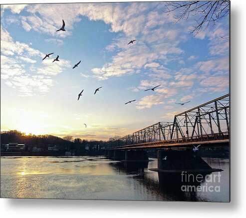 +pixels Metal Print featuring the photograph Gulls at the Bridge #2 by Christopher Plummer