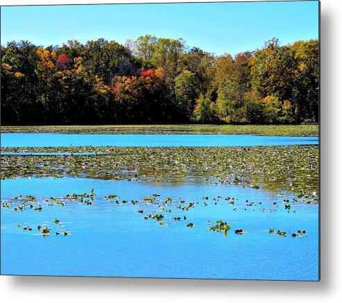 Lakes Metal Print featuring the photograph Historic Smithville Lake in Autumn in New Jersey by Linda Stern