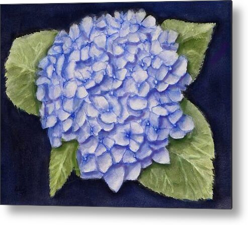 Hydrangea Metal Print featuring the painting Hydrangea Flower with Blue Background by Kelly Mills