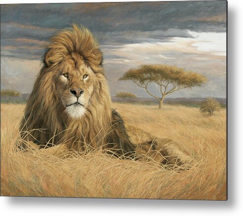 Lion Metal Print featuring the painting King Of The Pride by Lucie Bilodeau