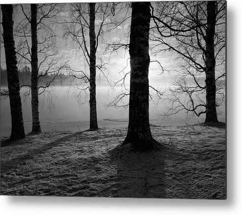 Finland Metal Print featuring the photograph Later that day. Tampere Arboretum bw by Jouko Lehto