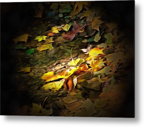 Leaves Metal Print featuring the photograph Leaves in the Creek by Christopher Reed
