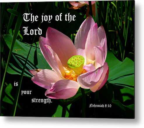 Pink Lotus Flower Metal Print featuring the photograph Lotus Blossom Nehemiah 8 vs 10 by Mike McBrayer