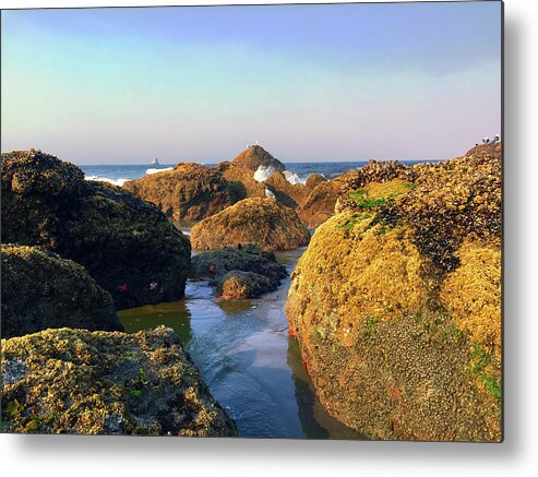 California Metal Print featuring the photograph Low Tide by Jason Judd