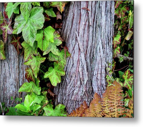 Canada Metal Print featuring the photograph Luscious Growth by Mary Mikawoz
