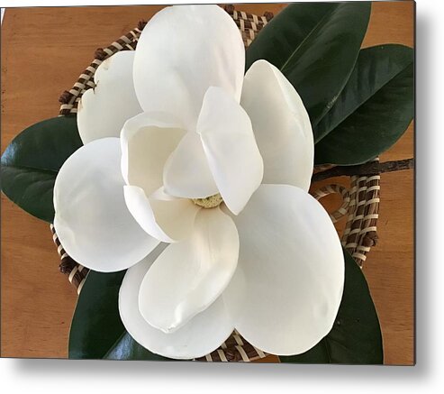 Magnolia Flower Metal Print featuring the photograph Magnolia Tree Flower by Catherine Wilson