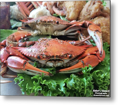 Crab Metal Print featuring the photograph Maryland Crab On Lettuce by Robert Banach