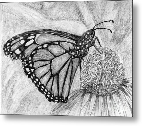 Butterfly Metal Print featuring the drawing Monarch on Coneflower by Katrina Gunn