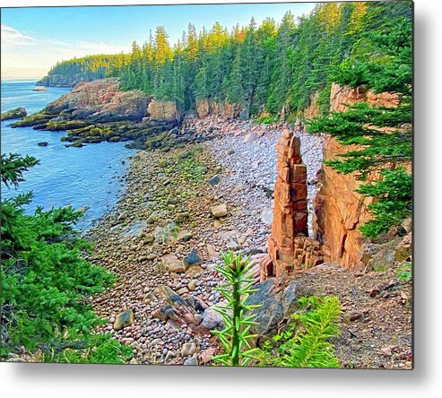Monument Metal Print featuring the photograph Monument Cove by Monika Salvan