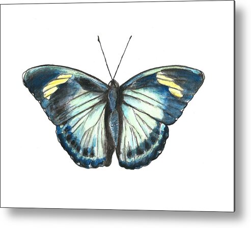 Butterfly Metal Print featuring the painting Morpho Butterfly by Pamela Schwartz