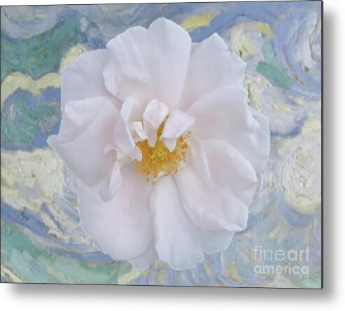 Art Metal Print featuring the photograph Old Fashioned White Rose by Jeannie Rhode