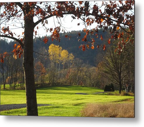 Landscape Metal Print featuring the photograph Other Side by Catherine Arcolio