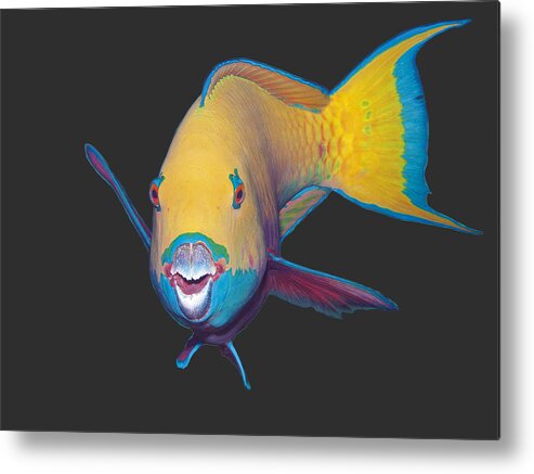 Heavybeak Parrotfish Metal Print featuring the mixed media Parrotfish - Eye catching make up on dark background - by Ute Niemann