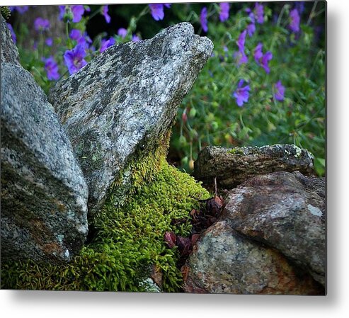 Nature Metal Print featuring the photograph Passage To A Garden by Alida M Haslett