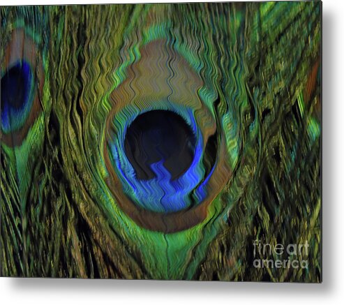Guinea Metal Print featuring the photograph Peacock Feather Art 17 by D Hackett