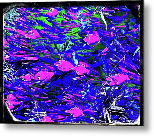 Pink Fish Abstract Photograph Border Black White Purple Water Green Plants White Bugs Line Grey Iphone Ipad-air Hook Bait Sandiego Neighborhood Walk Metal Print featuring the digital art Pink Fish by Kathleen Boyles