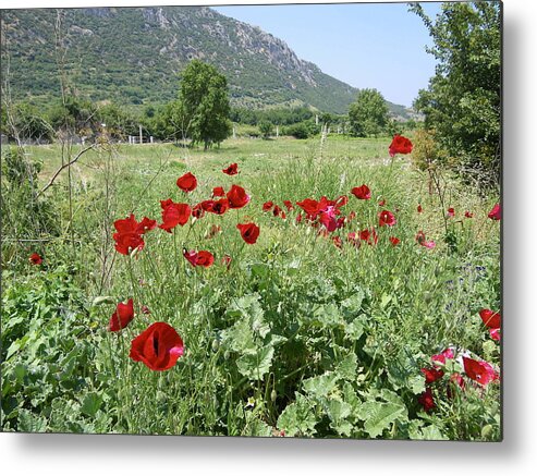 Turkey Metal Print featuring the photograph Poppies in Ephesus by Lisa Mutch