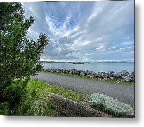 Sea Metal Print featuring the photograph Road to sea by Anamar Pictures