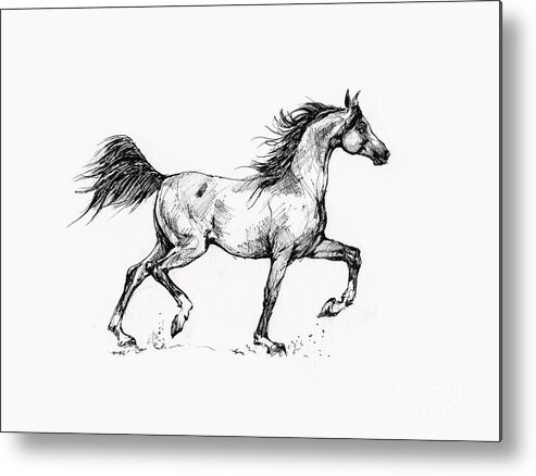  Metal Print featuring the drawing Running Arabian Horse Drawing 1 by Ang El