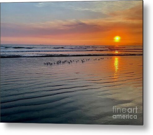 Beach Metal Print featuring the photograph Sand Pipers at Sunset by Katherine Erickson