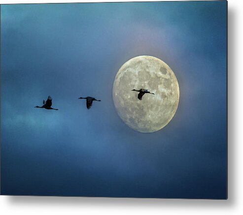 Sky Metal Print featuring the photograph Sandhill Cranes with Full Moon by Patti Deters