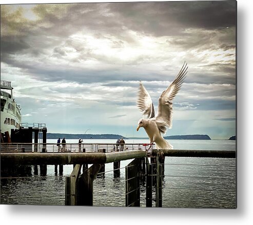 Seabird Metal Print featuring the photograph Seagull's landing by Anamar Pictures