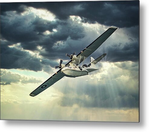 Catalina Metal Print featuring the photograph Searching by Martyn Boyd