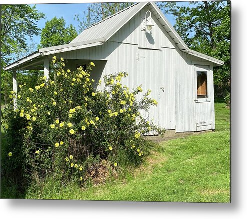  Metal Print featuring the painting Shed by Anitra Boyt