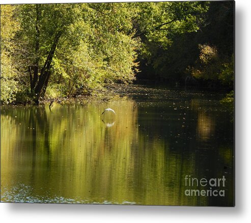 Outdoors Metal Print featuring the photograph Snow White Egret by Chris Tarpening