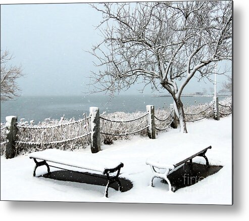 Plymouth Harbor Metal Print featuring the photograph Snowy January afternoon by Janice Drew