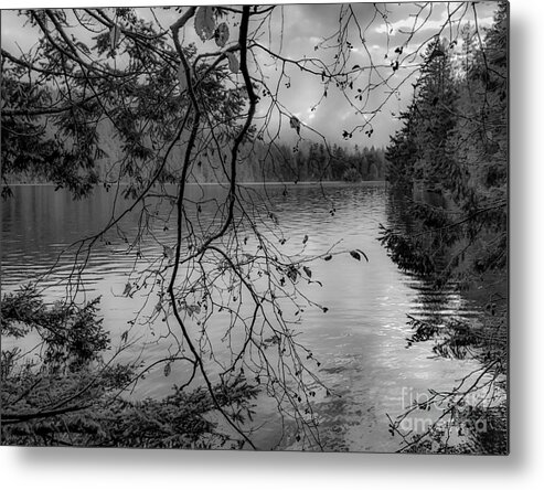 Mountain Lake Metal Print featuring the photograph Soggy and Foggy by William Wyckoff