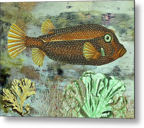 Spotted Fish Metal Print featuring the mixed media Spotted Brown Fish by Lorena Cassady