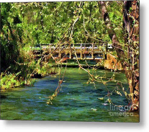 Spring Metal Print featuring the photograph Spring in the North Carolina Mountains by Roberta Byram