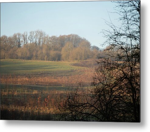 Spring Metal Print featuring the photograph Springtime layers by Average Images