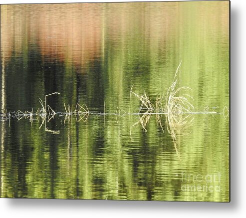 Water Metal Print featuring the photograph Stillness by Nicola Finch