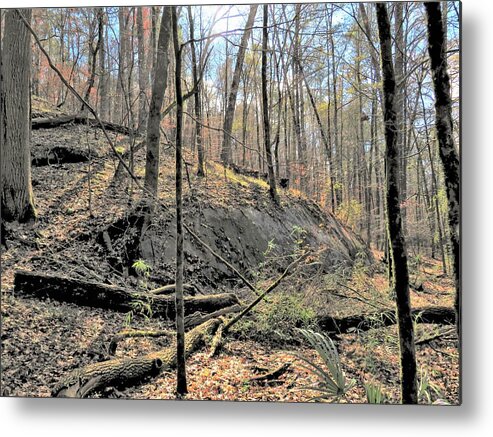 Stone Metal Print featuring the photograph Stoned Forest by Ed Williams