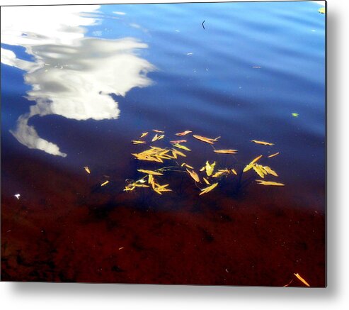 Summer Metal Print featuring the photograph Summer day in pond by Pauli Hyvonen