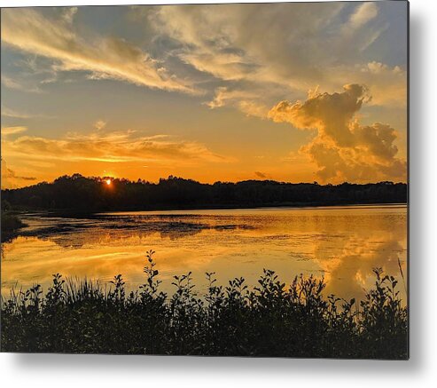  Metal Print featuring the photograph Sunny Lake Park Sunset by Brad Nellis