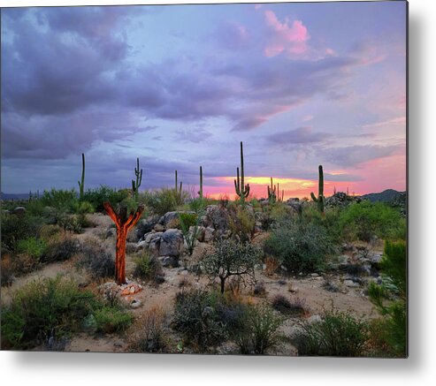 Landscape Metal Print featuring the photograph Sunset in the Tortolita Mountains by Jason Judd