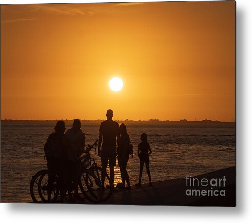 Sunset Metal Print featuring the photograph Sunset over Tampa Bay in Silhouette by L Bosco