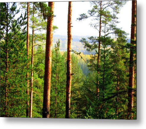 Summer Metal Print featuring the photograph Summer day #3 by Pauli Hyvonen