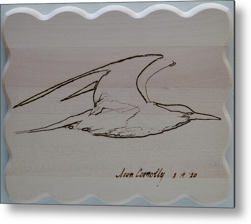 Pyrography Metal Print featuring the pyrography Tern Loose by Sean Connolly