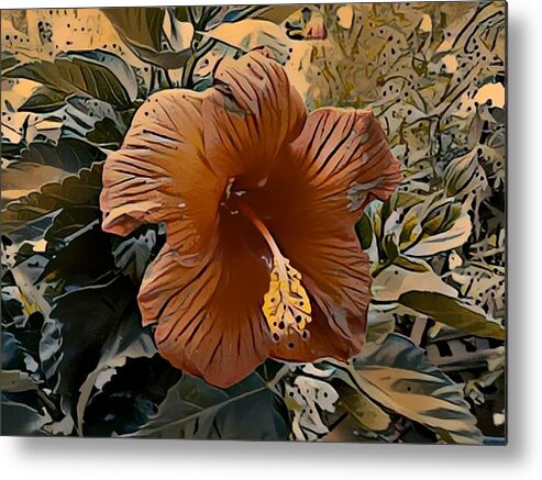 Hibiscus Metal Print featuring the photograph The hibiscus by Steven Wills