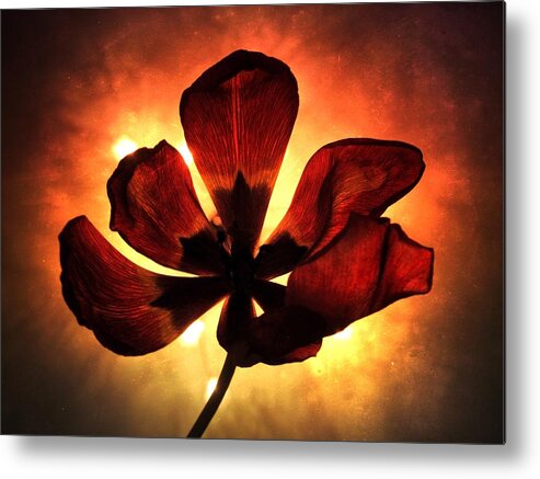 Death Metal Print featuring the photograph The shadow of life by Maria Dimitrova