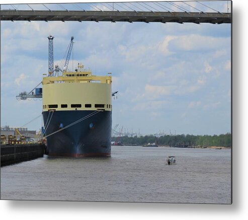 Savannah River Metal Print featuring the photograph The Tall And Short Of It by Ed Williams