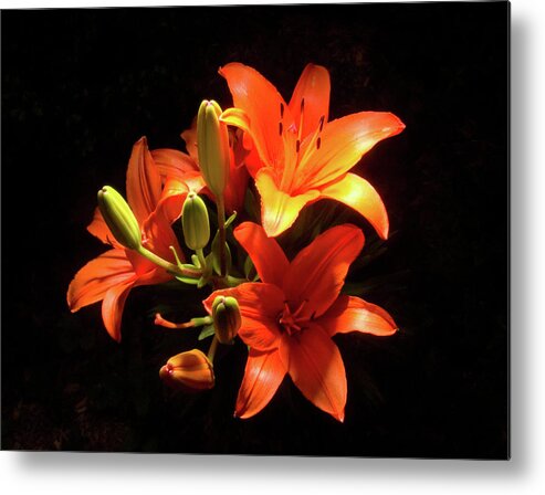 Tiger Metal Print featuring the photograph Tiger Lilies by Steven Nelson