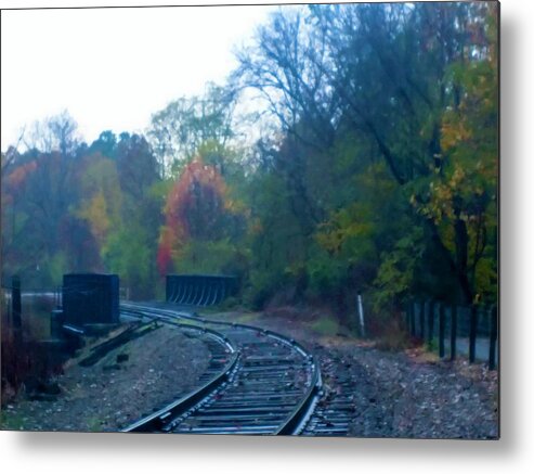  Metal Print featuring the photograph Towners Woods Tracks by Brad Nellis