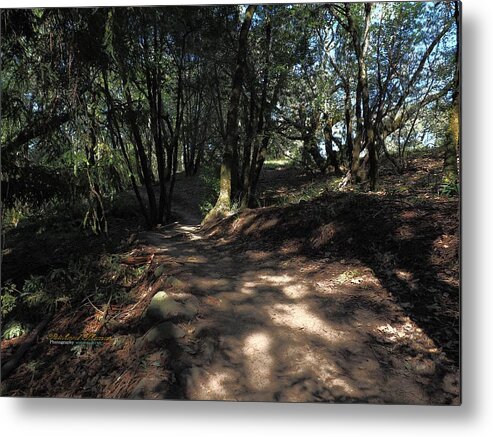 Park Trail Metal Print featuring the photograph Trail Going Up by Richard Thomas