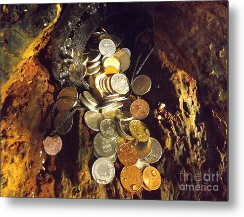 Travel Coins Metal Print featuring the photograph Treasure Bark 2 by Denise Morgan