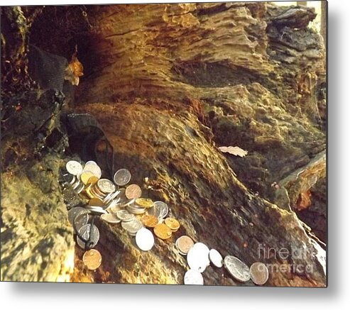 Old Coins Metal Print featuring the photograph Treasure Bark 5 by Denise Morgan